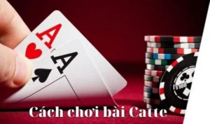 Bí Quyết Chinh Phục Sắc Tê Tại KUBET Từ Cao Thủ Cá Cược